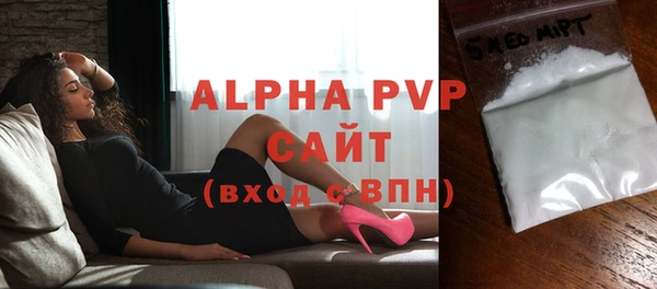 амф Бородино