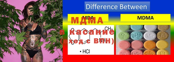 амф Бородино