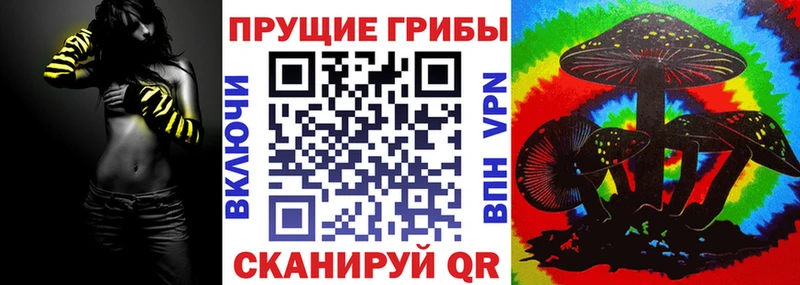 где найти   Сковородино  Псилоцибиновые грибы мицелий 